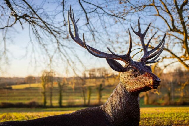 sculpture_metal_sylvain_perouze_Cerf_bois