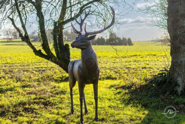 sculpture_metal_sylvain_perouze_Cerf_metal