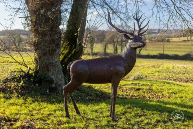 sculpture_metal_sylvain_perouze_Cerf_paysage_exterieur